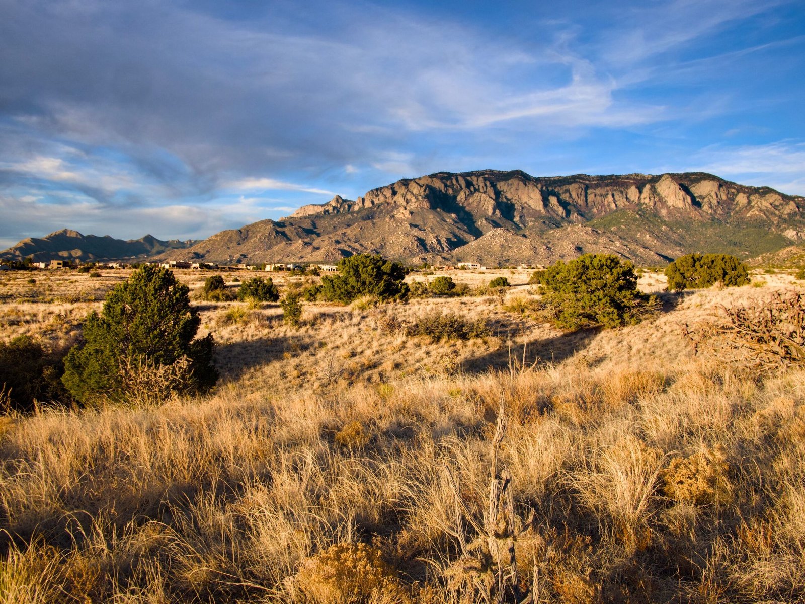 Home Beautiful view of Sandia Mountains in Albuquerque, New Mexico at sunset with lush desert foreground.