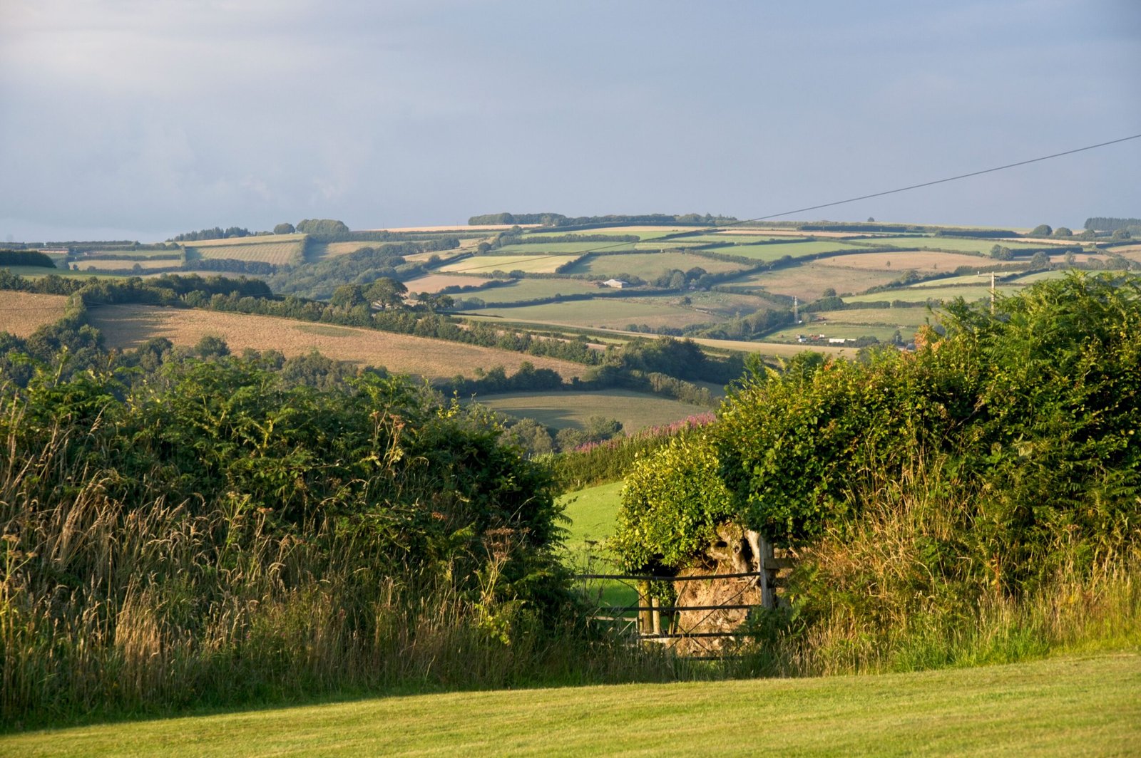 Home Explore the serene rolling hills and hedgerows of Winsford, UK during golden hour at Exmoor National Park.